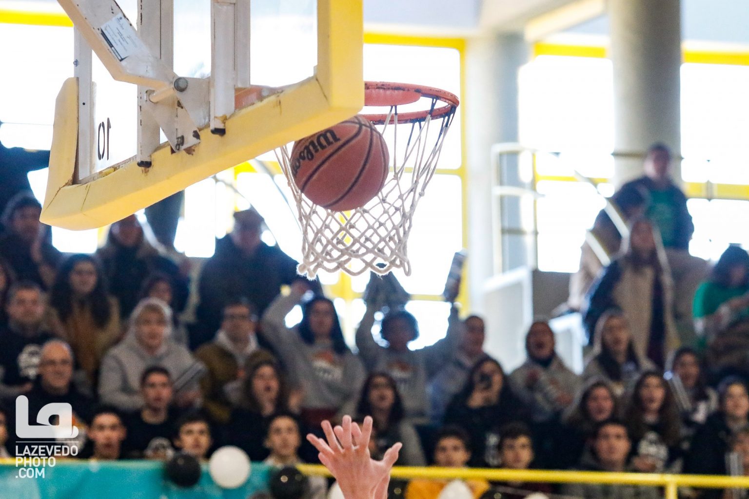 ABL imagem de galeria