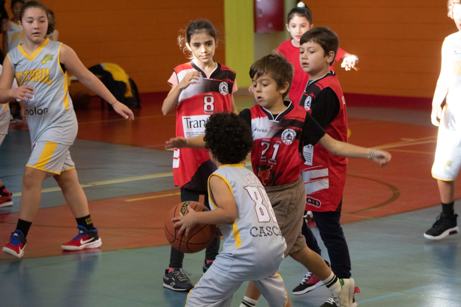 ABL imagem de galeria