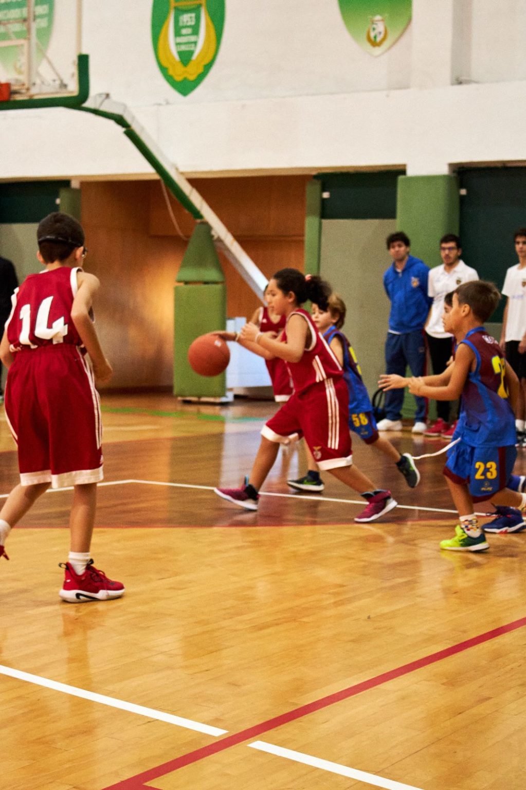 ABL imagem de galeria