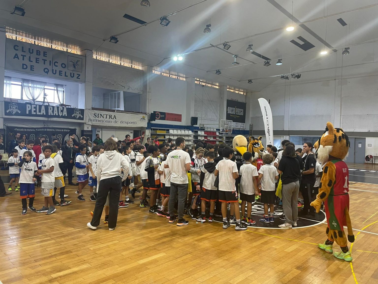 ABL imagem de galeria
