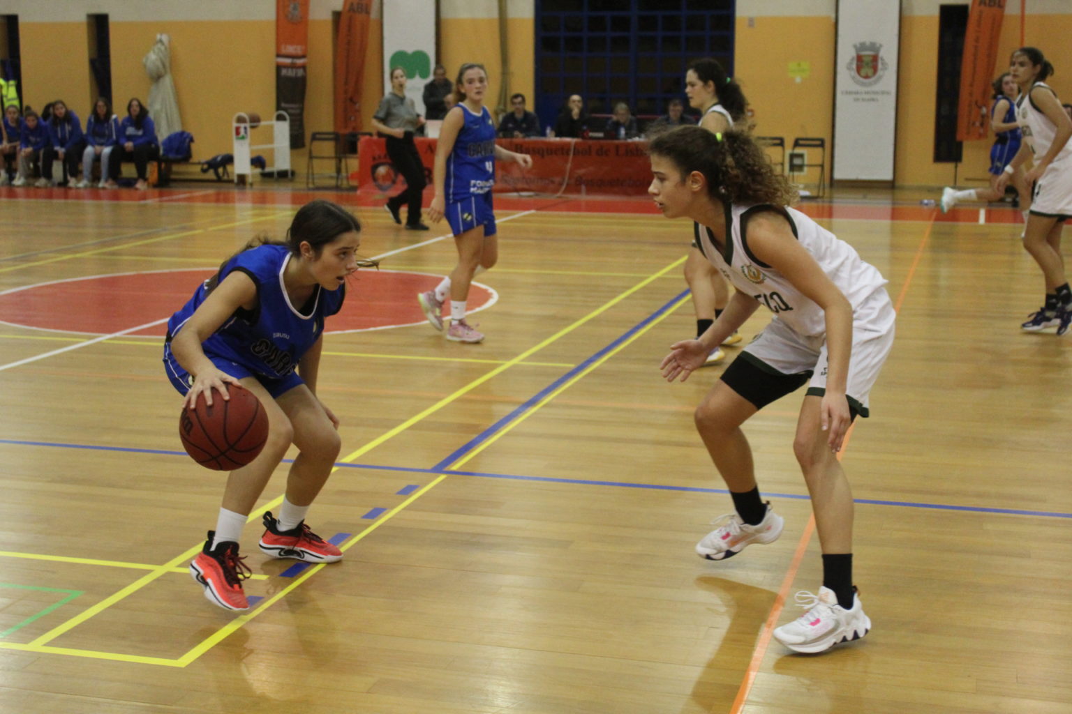 ABL imagem de galeria