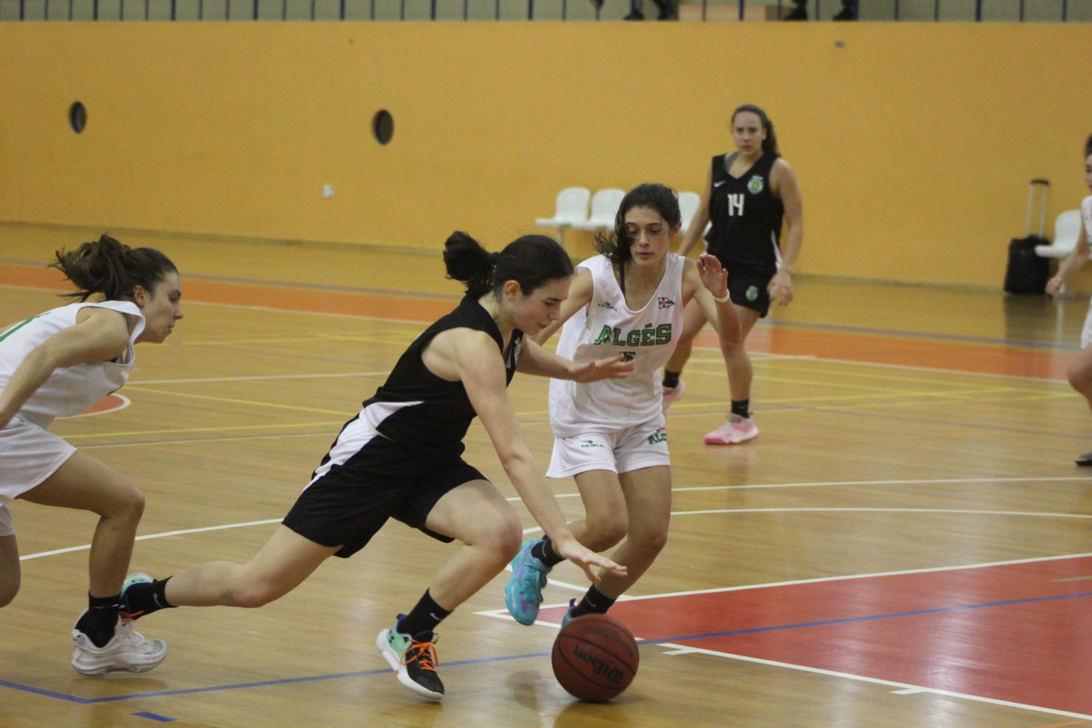 ABL imagem de galeria