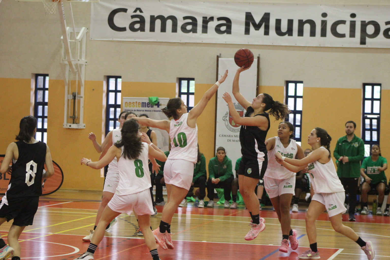 ABL imagem de galeria