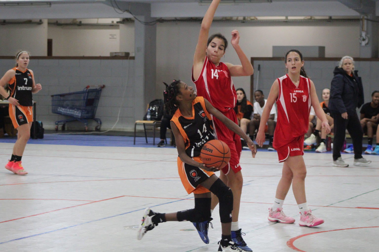 ABL imagem de galeria