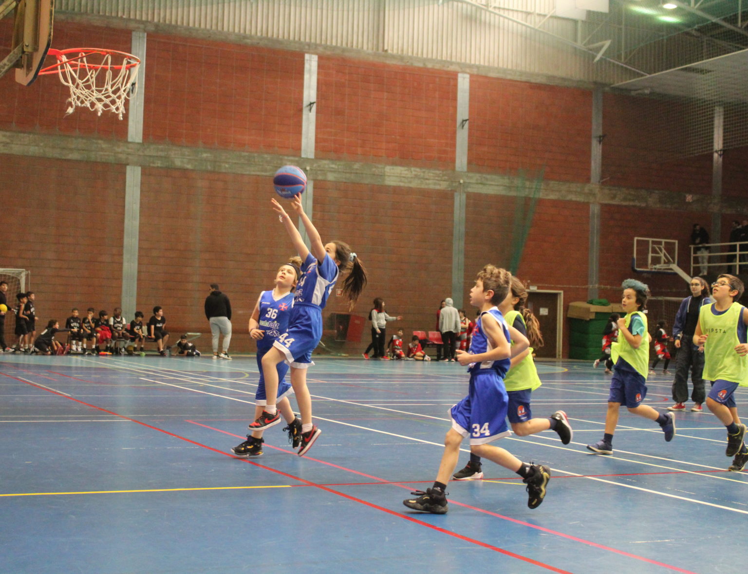 ABL imagem de galeria