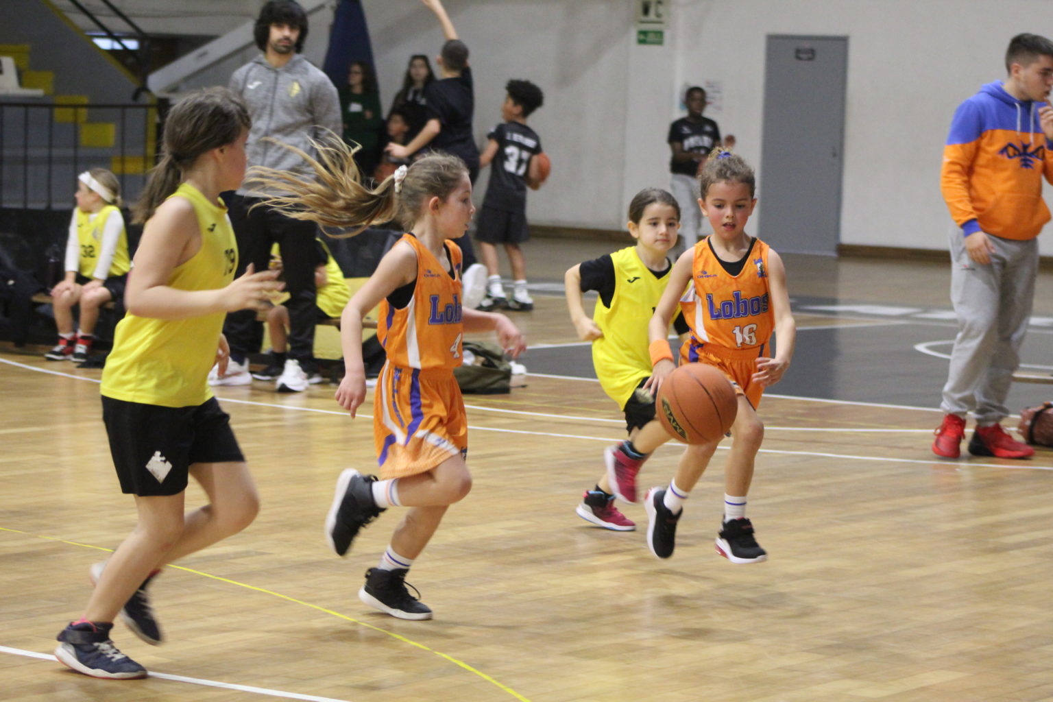 ABL imagem de galeria