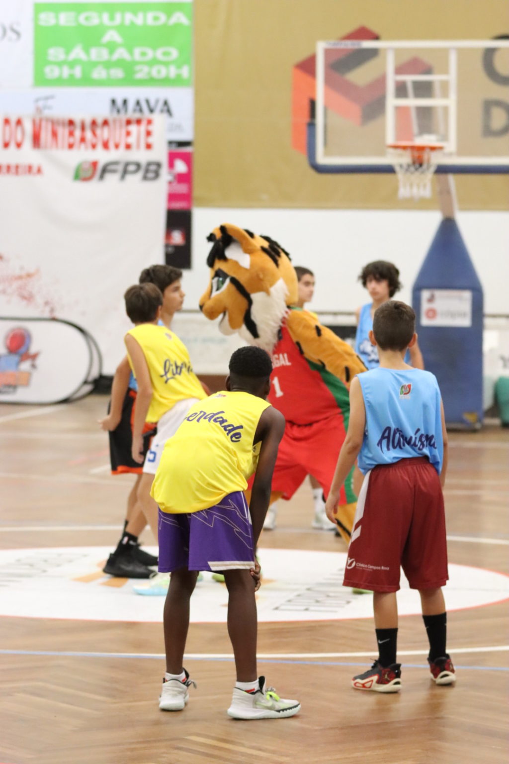 ABL imagem de galeria
