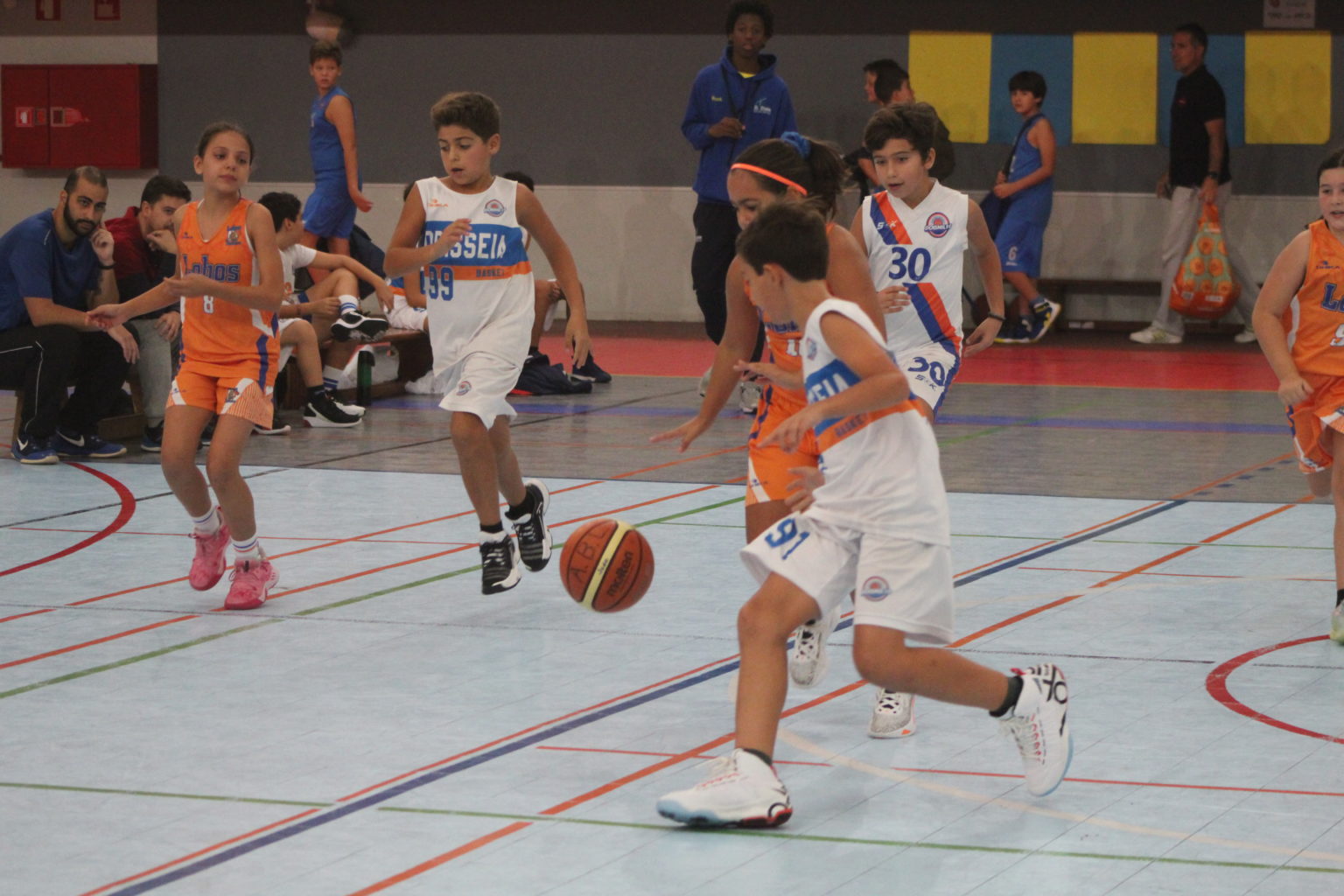 ABL imagem de galeria