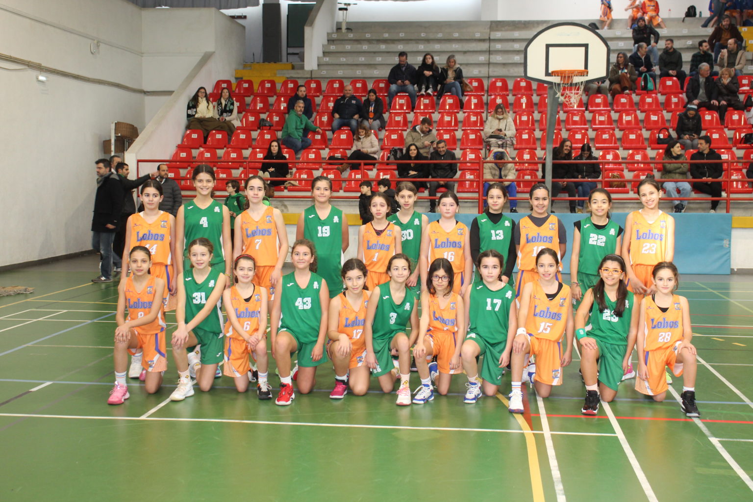 ABL imagem de galeria