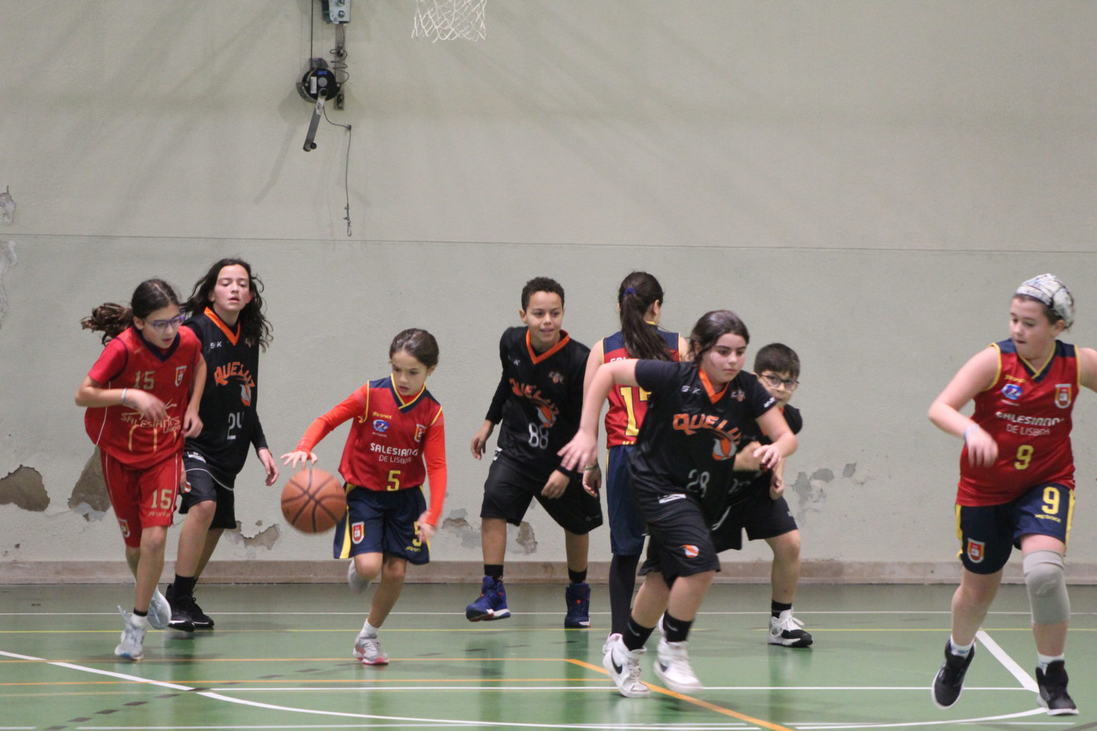 ABL imagem de galeria