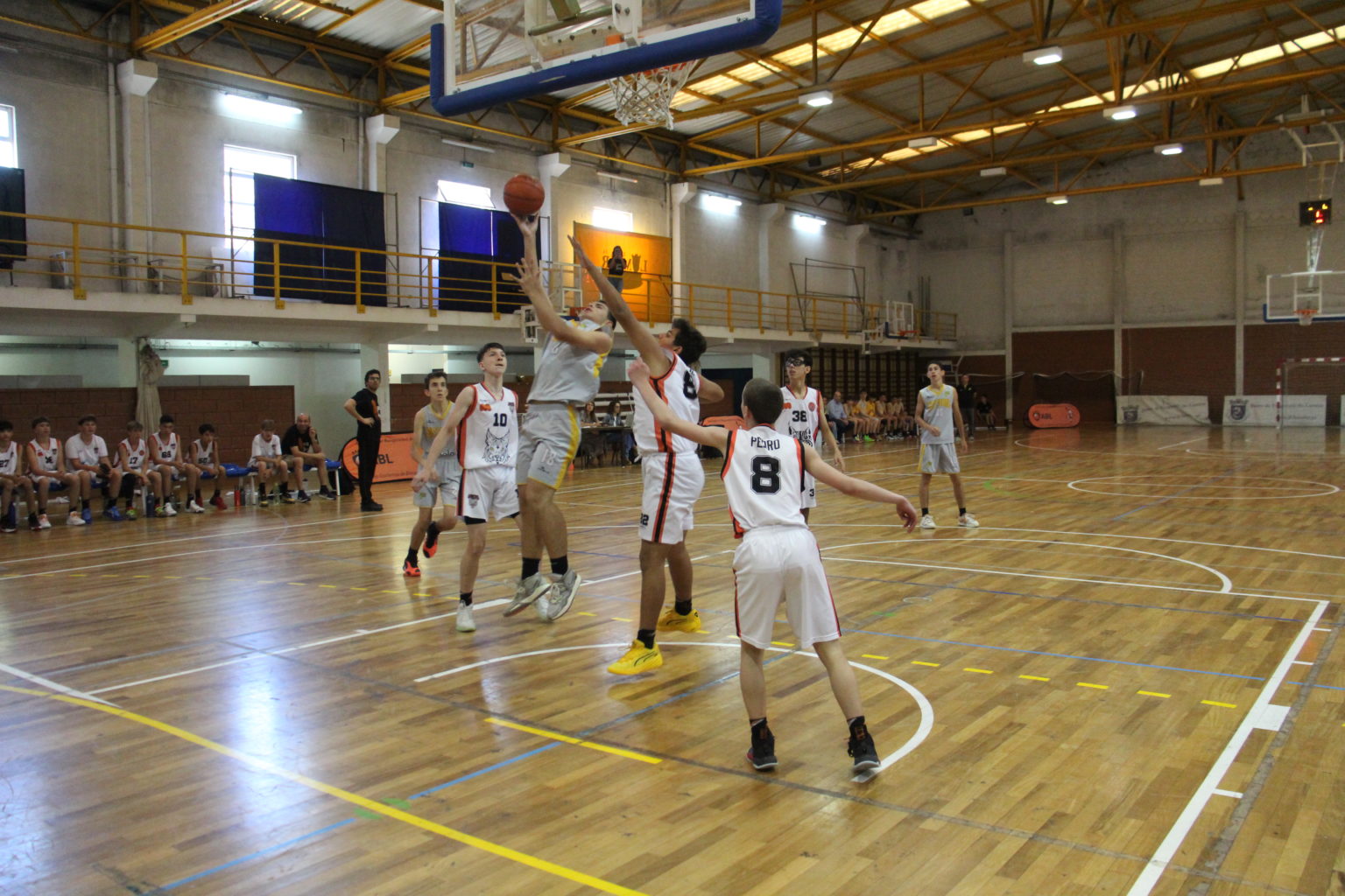 ABL imagem de galeria