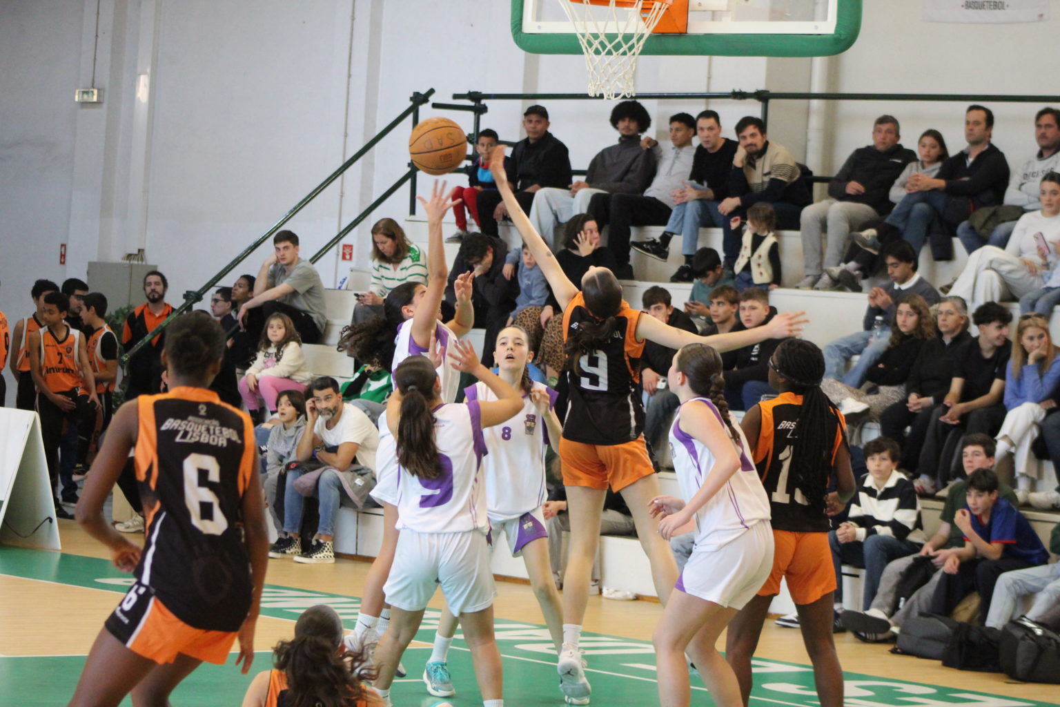 ABL imagem de galeria