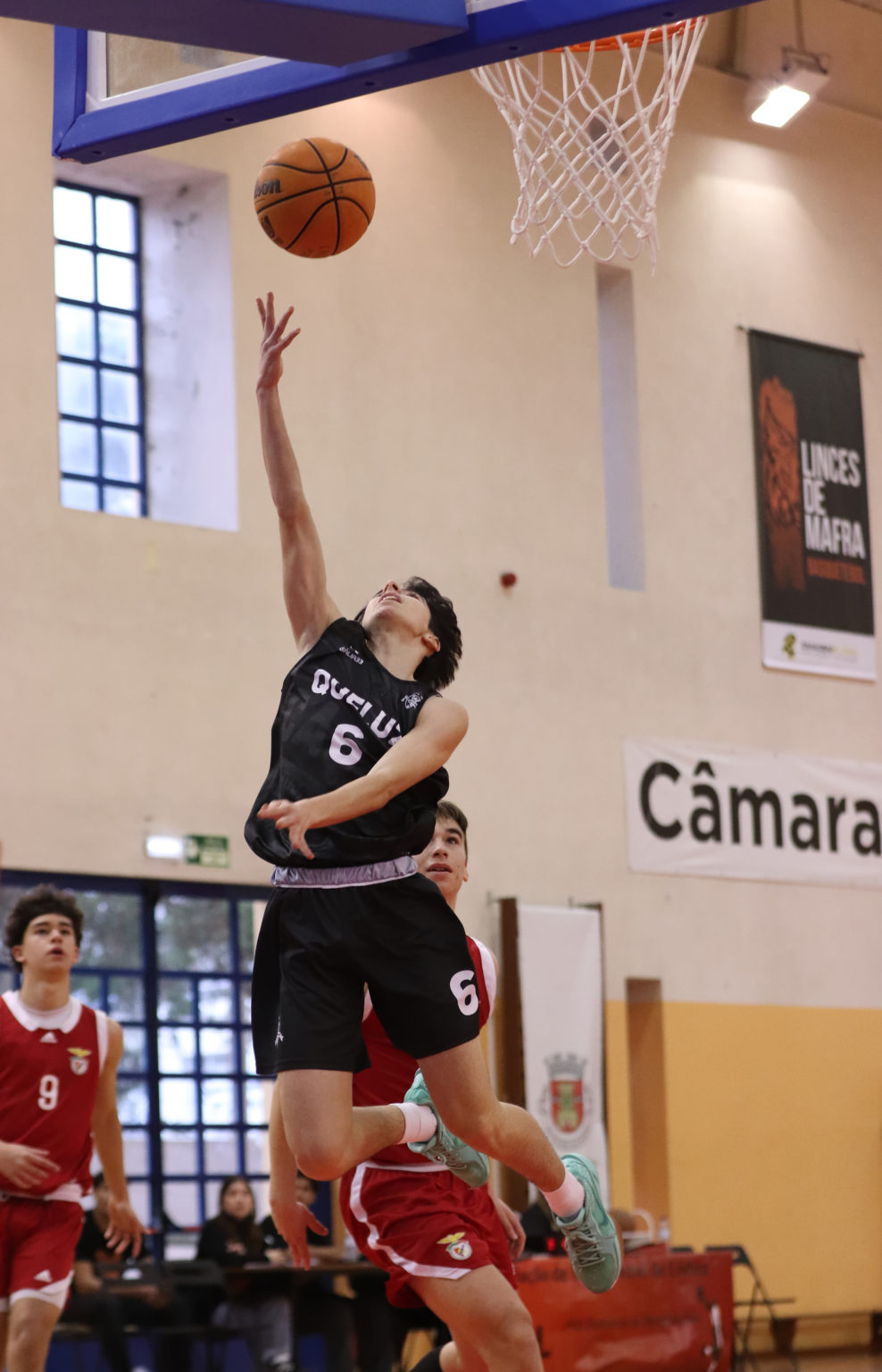 ABL imagem de galeria