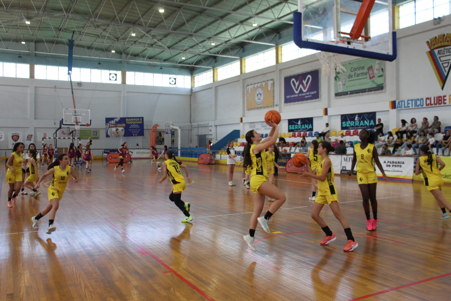 ABL imagem de galeria