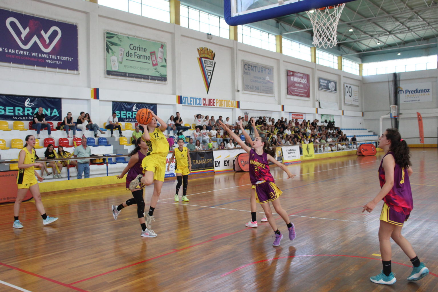ABL imagem de galeria