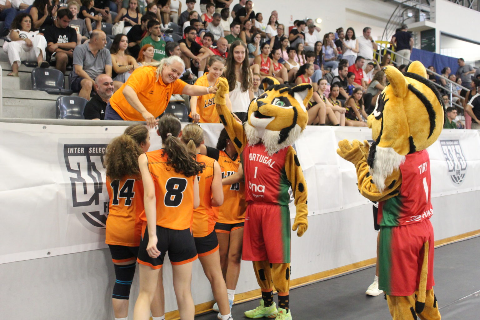 ABL imagem de galeria