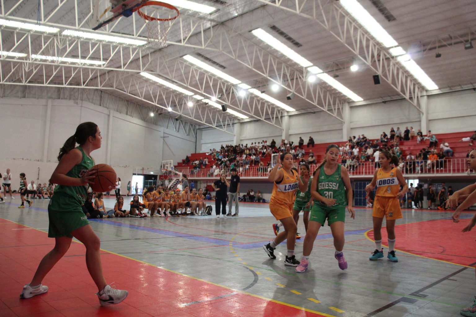 ABL imagem de galeria