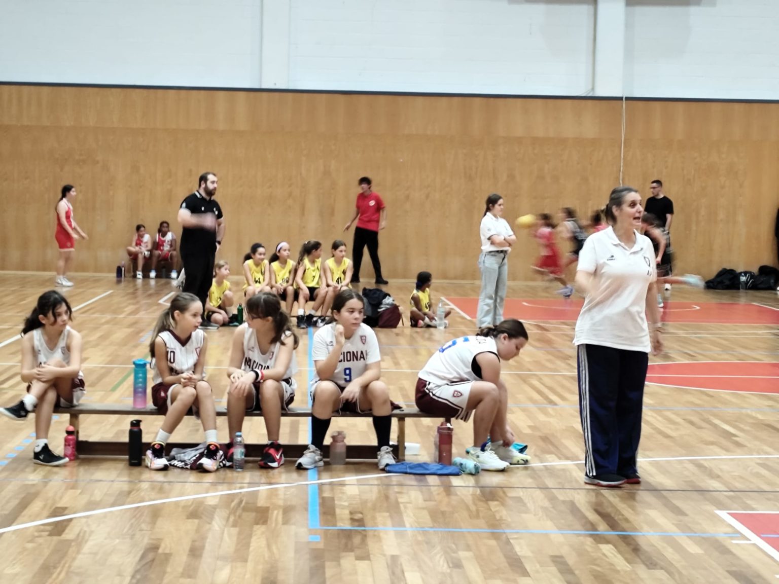 ABL imagem de galeria