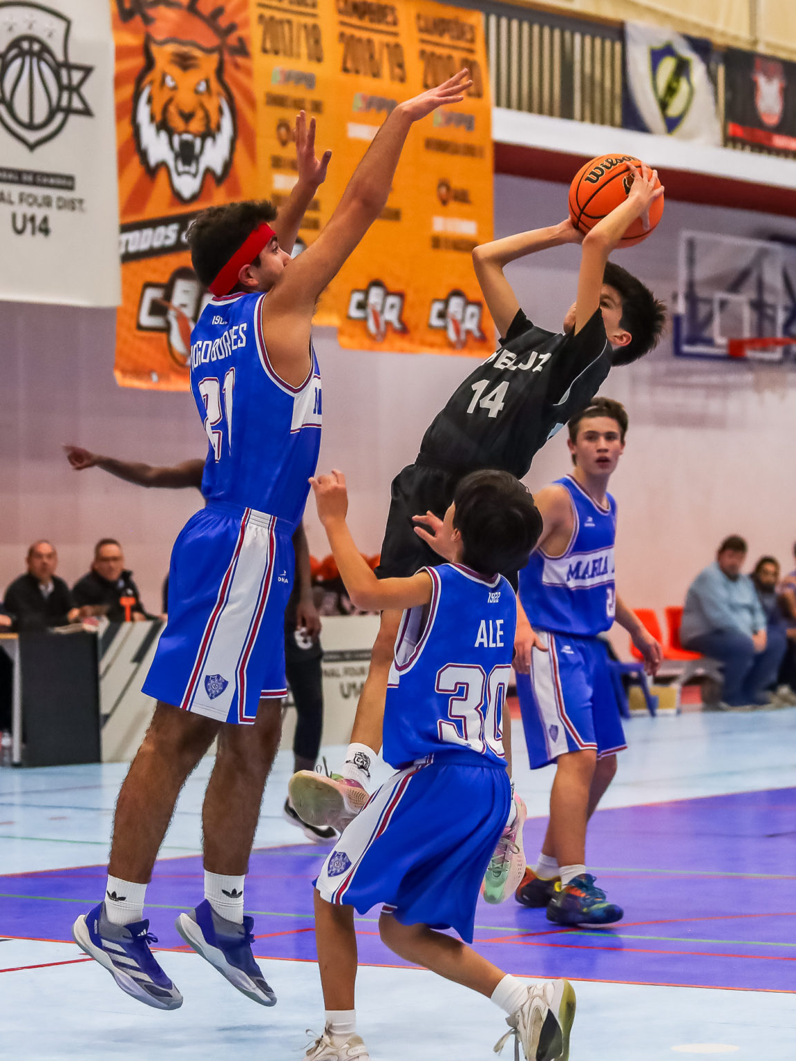 ABL imagem de galeria