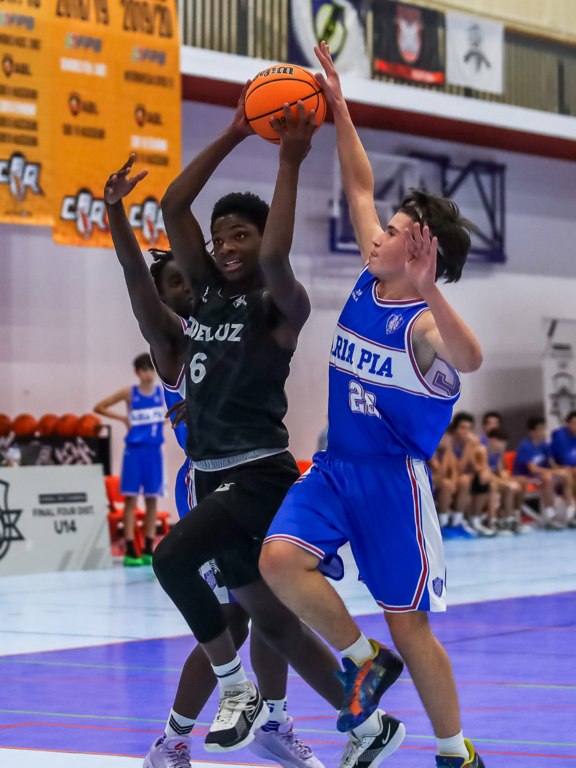 ABL imagem de galeria