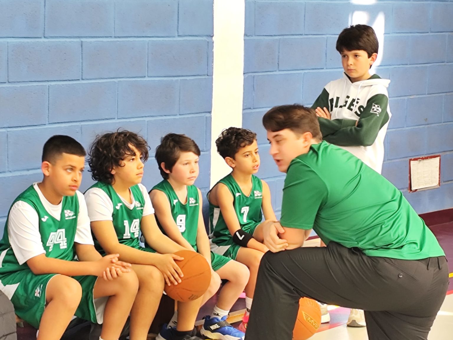 ABL imagem de galeria