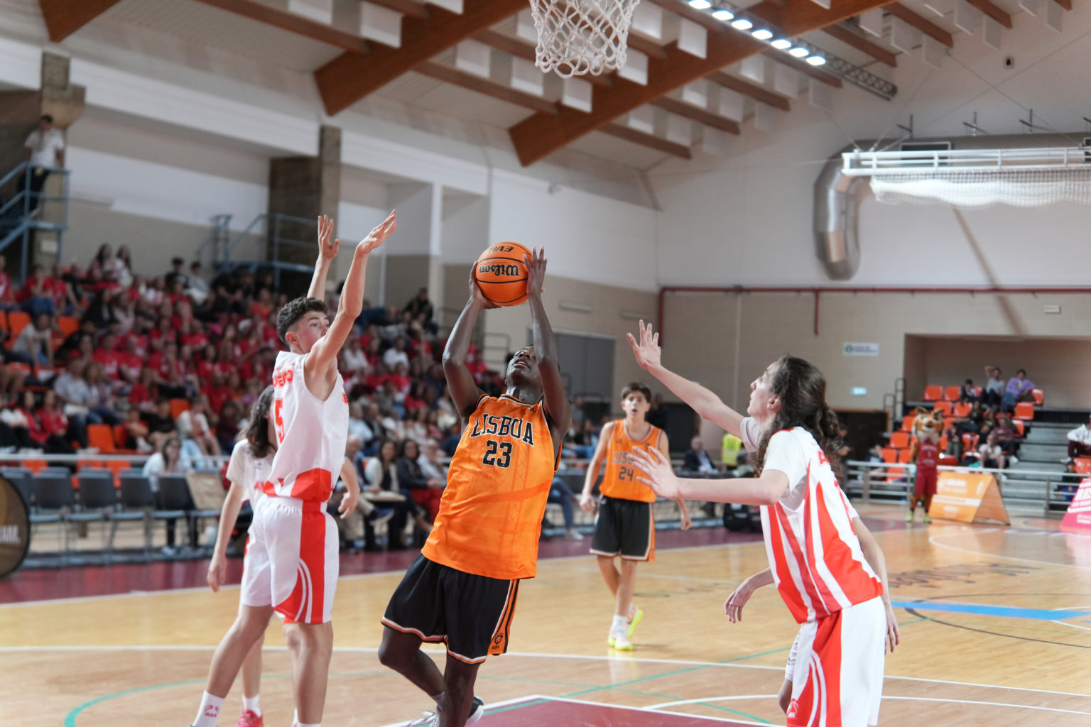 ABL imagem de galeria