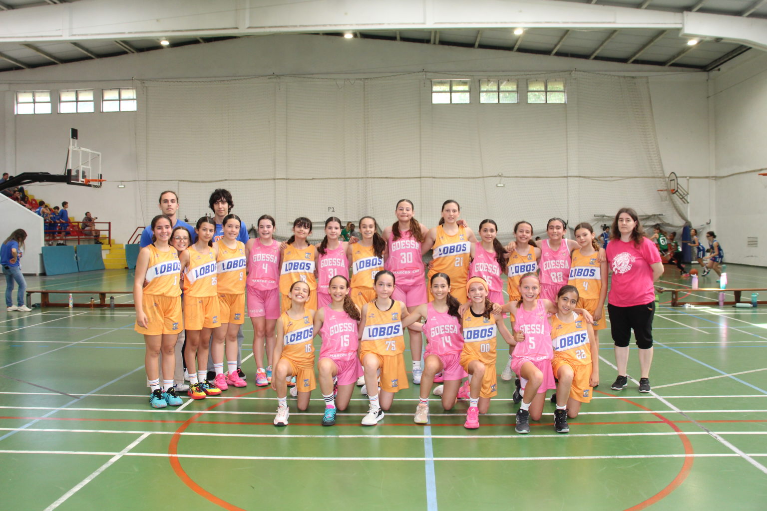 ABL imagem de galeria