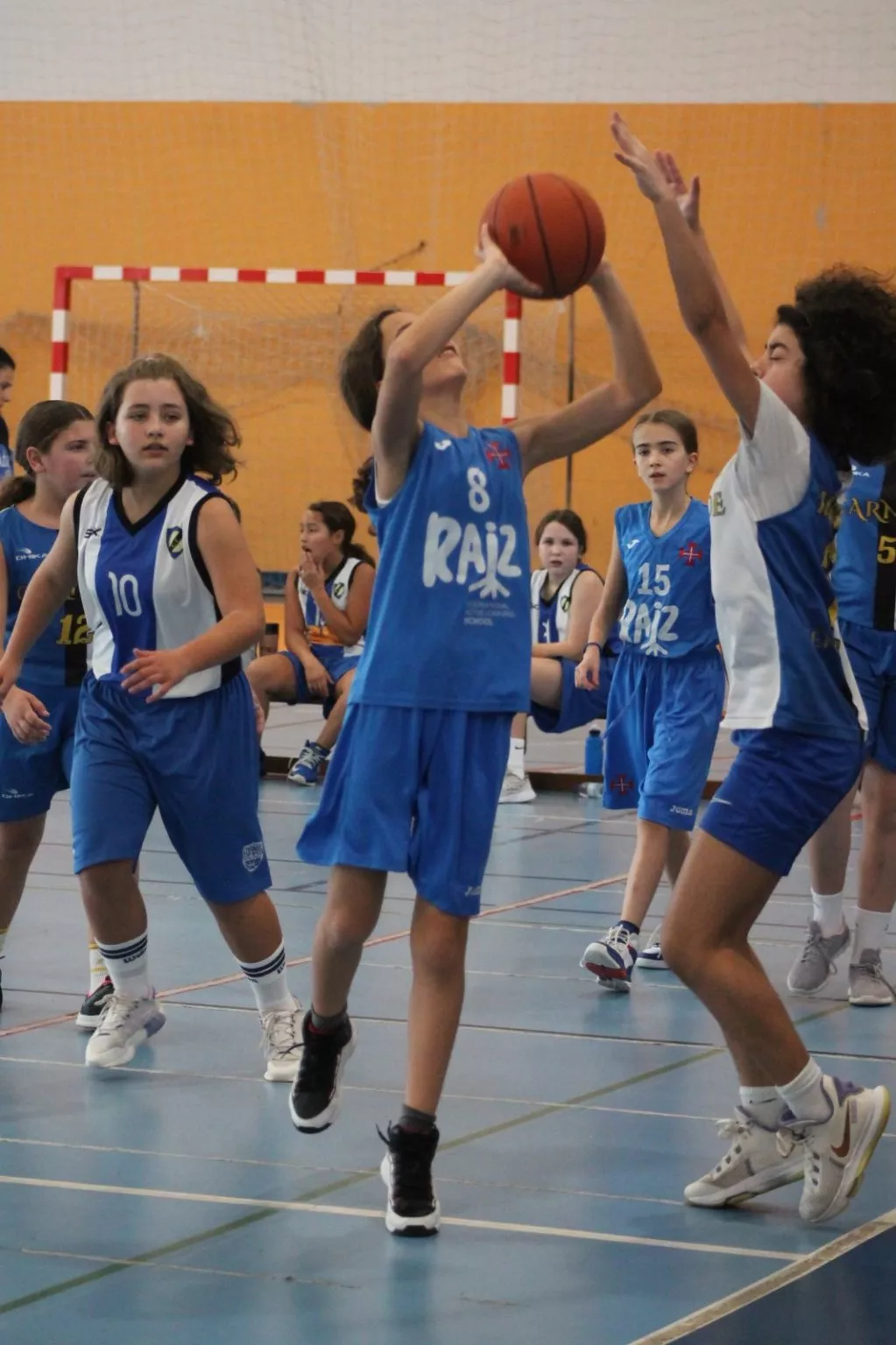 ABL imagem de galeria