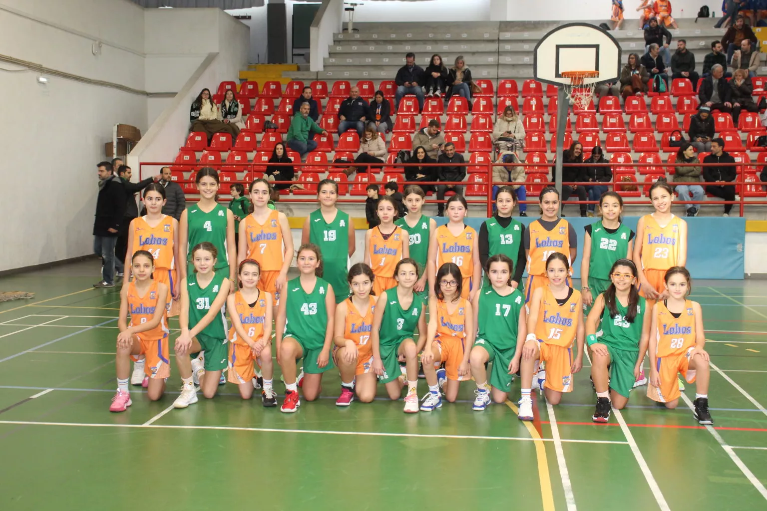 ABL imagem de galeria